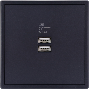 Двойная USB розетка серии TILE с зарядкой, пластик (без рамки)