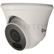 TSi-E4FP -  IP видеокамера уличная купольная с ИК подсветкой, четырехмегапиксельная