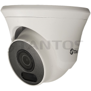 TSi-Ee25FPN -  Видеокамера антивандальная купольная с ИК подсветкой, Tantos