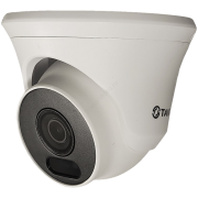 TSI-Ee85FD  - Активная Защита, IP видеокамера уличная купольная восьмимегапиксельная, со встроенной сиреной и красно-синим стробоскопом, с ИК и белой подсветкой, Tantos